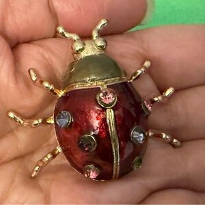 Red and Gold Ladybug Brooch